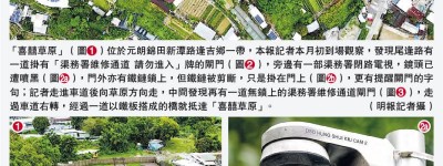 草地婚禮涉用政府禁路 海關查 婚禮公司稱免費泊車旅巴接送 準新人察看方悉申退款