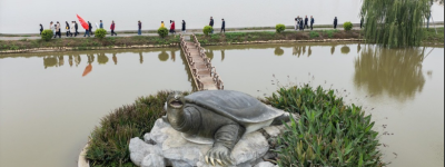 常德是個好地方從餐桌到全產業鏈，漢壽甲魚續寫「甲天下」傳奇