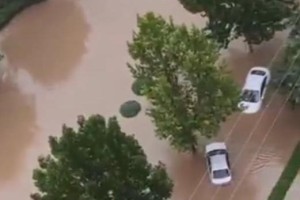 暴雨中的涿州市民：有人抢救货物被困仓库，靠泡沫箱转至高处等到救援