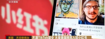 TikTok禁令意外“解锁”中美用户的跨境文化互动？媒体聚焦