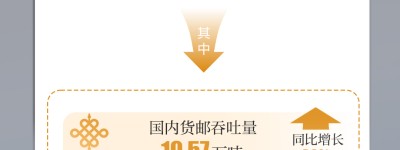 石榴数据线丨2024年全疆累计运营定期航线547条 旅客吞吐量4800多万人次！