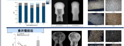 秦并蜀铜冶金考古研究：工艺技术等变化折射秦对蜀地实施多重改造