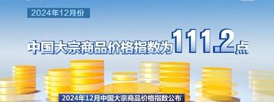 整体运行平稳 2024年12月大宗商品价格指数公布