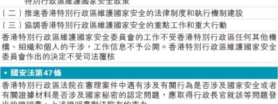 司法覆核許可押後裁 一個月內頒結果 政府：不能覆核國安委 黎方：權力非無限