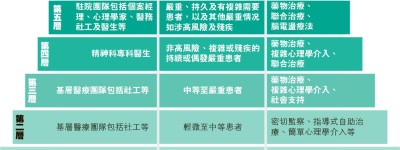 專家倡階梯支援分程度 按病情集中資源助患者