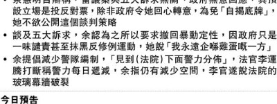 預設立場 官質疑審視議案原因 余慧明：縱反對仍研究議案 讓人知理據