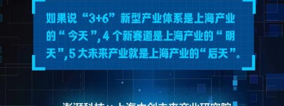 抢占未来产业｜浦东新区：不缺平台和人才，转化能力待提高