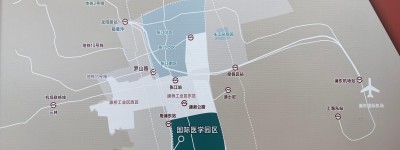 上海交大医学院浦东校区预计明年竣工，位于上海国际医学园区