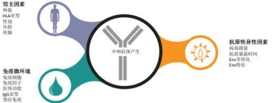 哈佛新研究：广谱中和抗体治疗HIV在儿童中显示出潜力