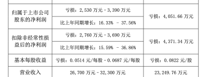 AI大牛股鸿博股份上半年净亏损收窄，营收和整体毛利率有所增长