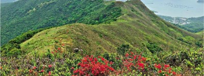 議員倡善用紅花嶺梧桐山獨特資源 文旅新寶地 打造一體化生態遊