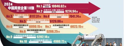 2024中國民營企業10強營收（人民幣）