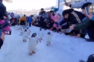 中国经济信心说丨冬季旅游“燃”起来，冰雪消费潜力满满